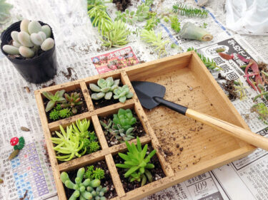 背抜き手袋をはめてガーデニングや造園をしよう