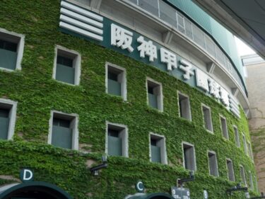 甲子園での熱中症対策・暑さ対策を解説！涼しく野球観戦・応援する方法！