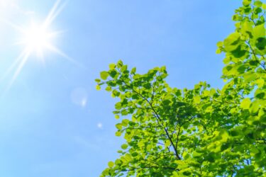 夏コミの暑さは想定外！快適に過ごすための4つの熱中症対策！