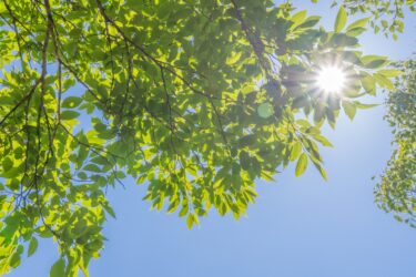 熱中症対策はいつから始めるべき？働く現場で備えるタイミングと準備を解説