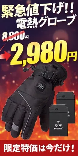 【急遽値下げ！1/29 ￥3,980→￥2,980】送料無料 ヒートグローブ