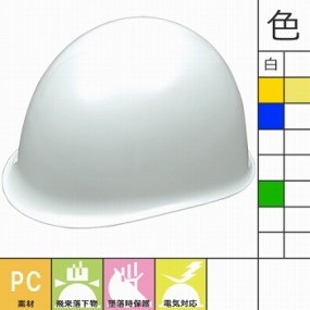  PN-2L