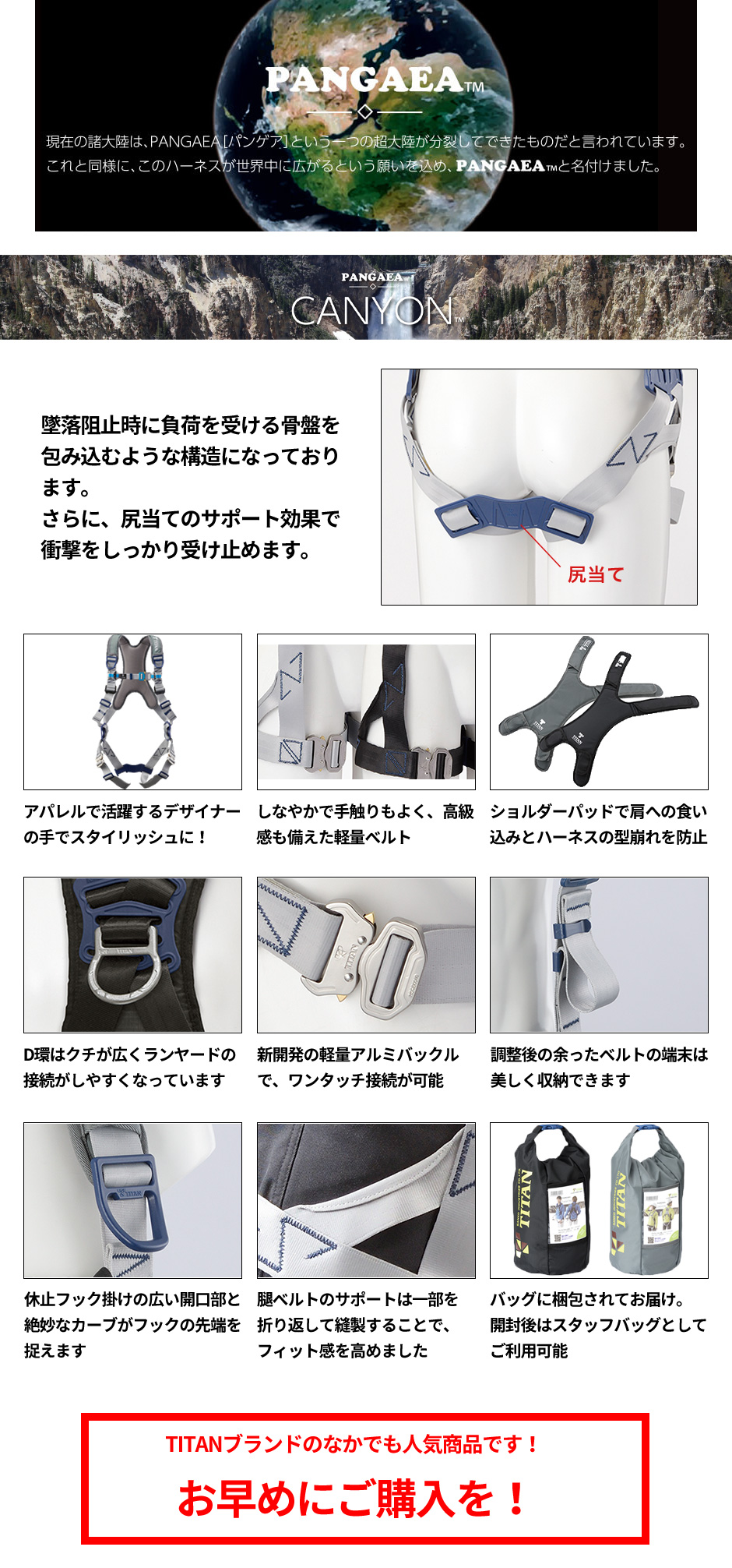 新規格対応フルハーネス CANYON キャニオン PACN-10A