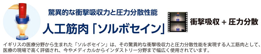 ソルボライト 静電インソール