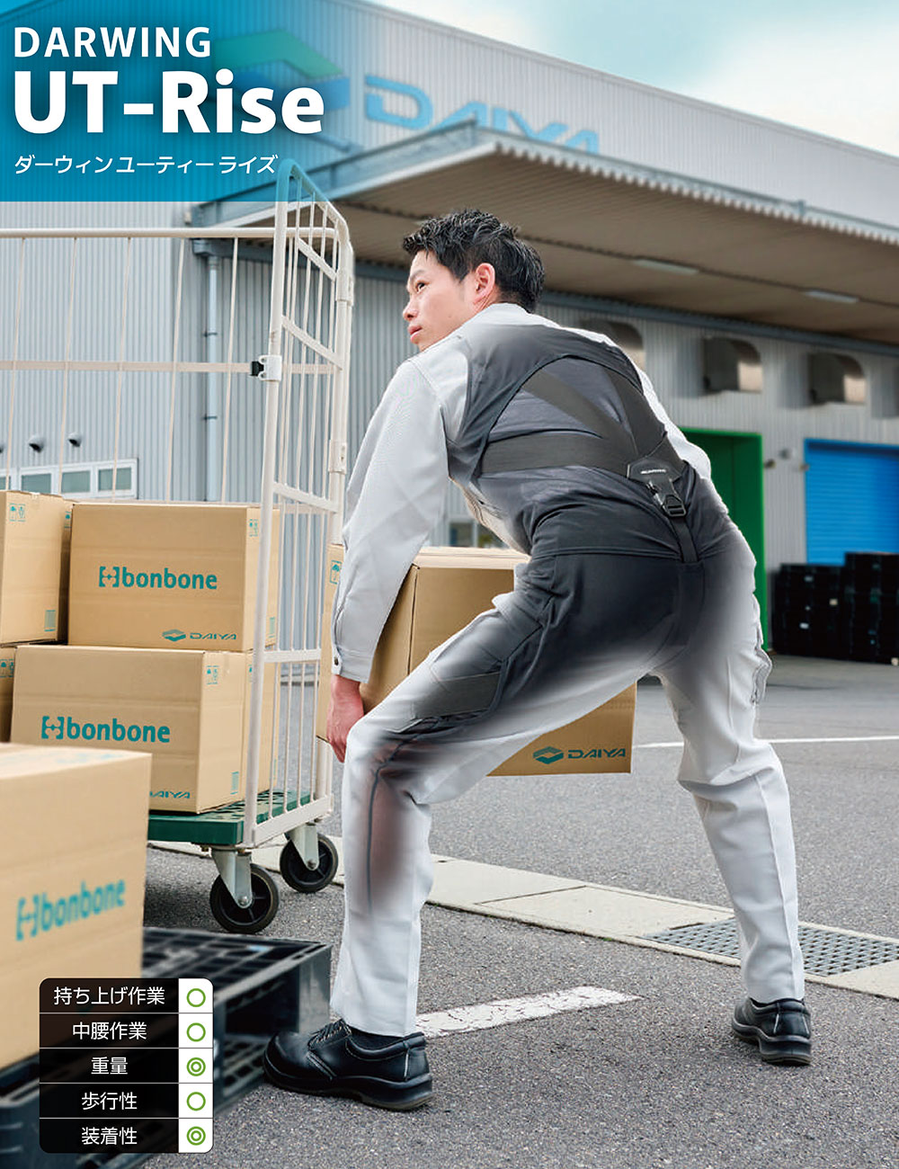 ダーウィン ユーティーライズ