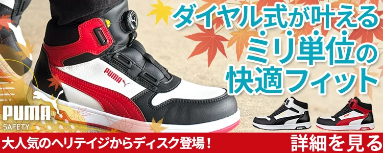 ミズノ安全靴